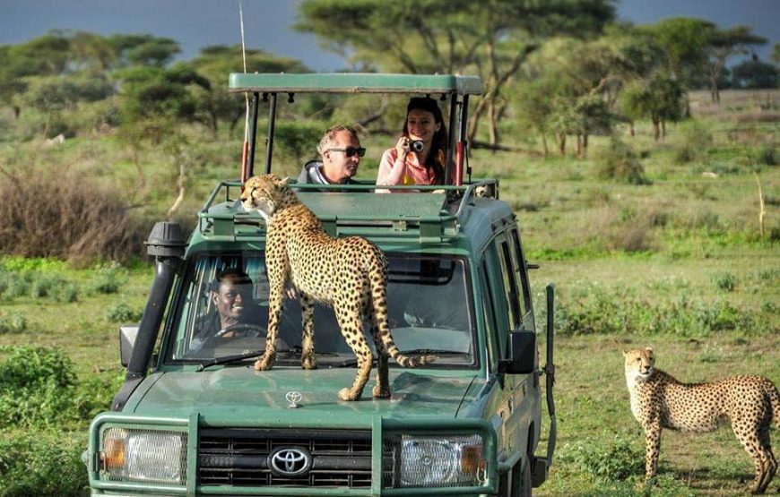 Ngorongoro Highlands